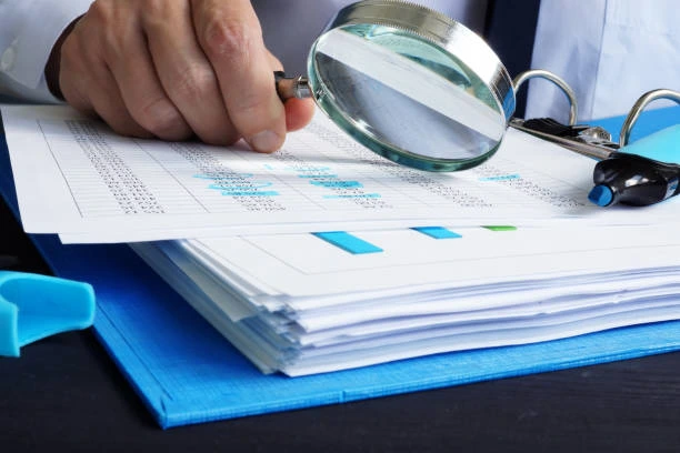 Auditoria interna