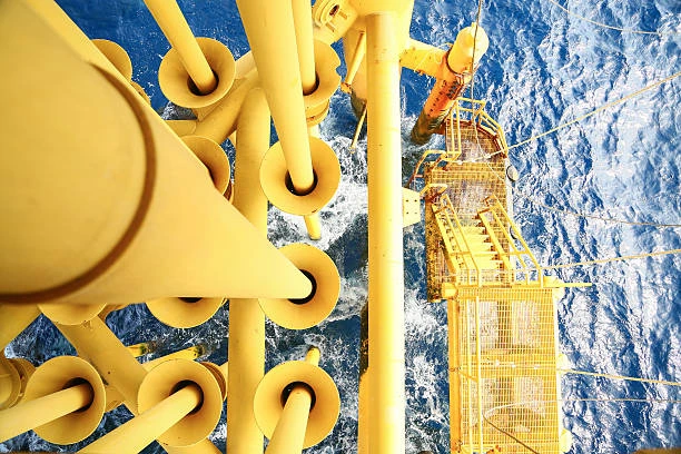 Licenciamento agência nacional do petróleo